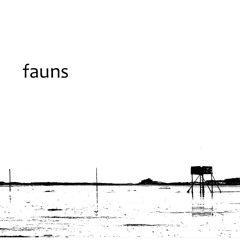 faunsmusic