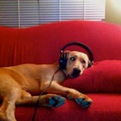 5 Guys Bangin Things