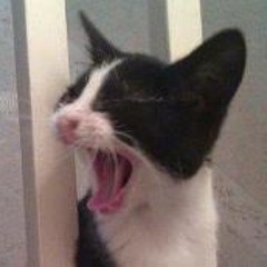 Alexandra Williams 9