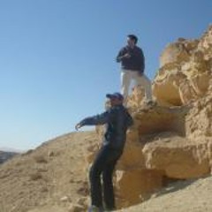 Mazen Shakweer