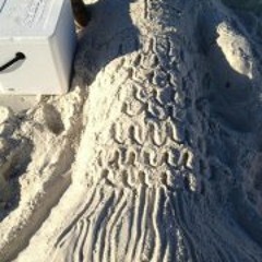 Richard Rufio Villasenor