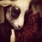 dizzypanda676