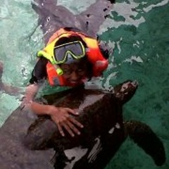 Miftahul Maulidil Mursyid