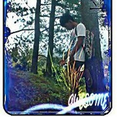 V.DJ Ghiriee Brother