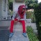 Dody brown