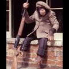 Ouistitus Le Turgescent