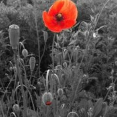 cantfindanunusedusername