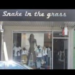 Snakeinthegrass