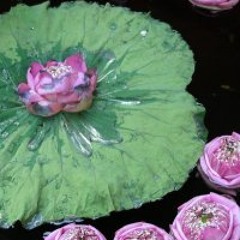 Prakit Lukkanapajong