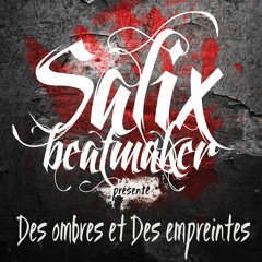 Salix beatmaker