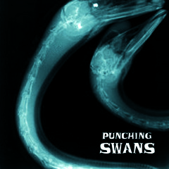 PunchingSwans