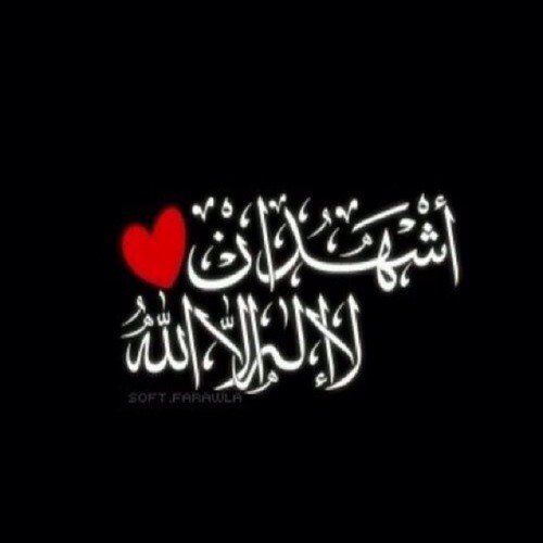 مقدار صلاة النبي ﷺ في الليل - الشيخ عبدالعزيز الراجحي