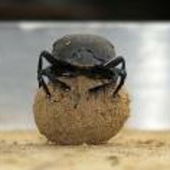 Hicham Weld Mrabih Rabbo