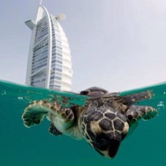 mohamza_78