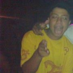 Gabriel Pereira Santos