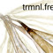 trmnlfreq