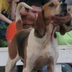 Chase Hunter Bradley