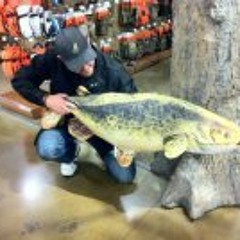 dj_hi_fi@hotmail.com