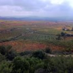 Geoffrey William Bailey