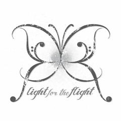 lightfortheflight