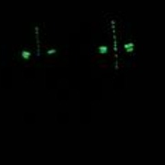 Henriette Goldenekette