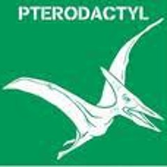 squirrel theory (purrliment crunkadelic)