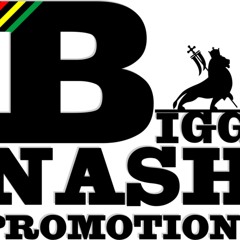 Bigg Nash Promo