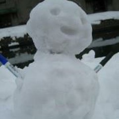09 Sunny-Side Up