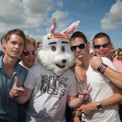 FestivalRabbit