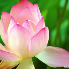 Huệ An 3