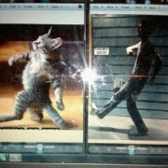 Party Rockin' Gangham Style