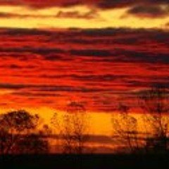 George Carolyn Waldner