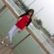 Ojal Sharma