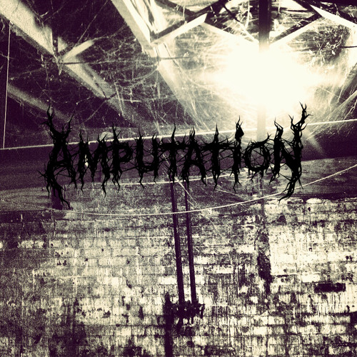 SoundCloud profile picture for @amputation