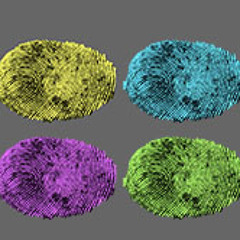 Eleven/Twelve Records