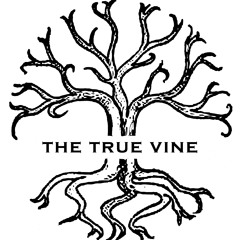 The True Vine Productions