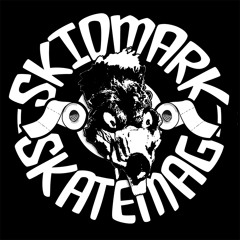SkidmarkSkatemag