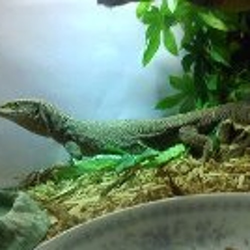 it said to record a sound so ther you go