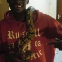 Sub-zero Still Lluther