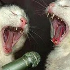 Christine Robinson 4