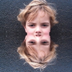 The Ambassador of Trouts