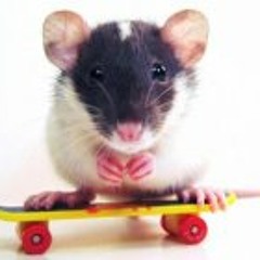 Keslarasva Patinetasymás