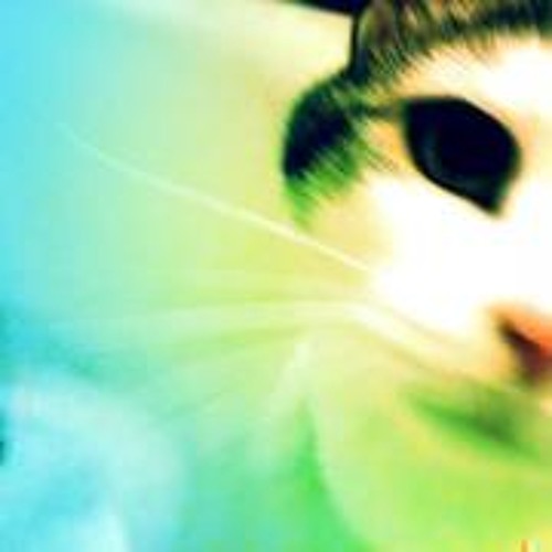 Tina Turner visual data 3