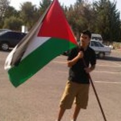 Mohammad Amer Irshaid