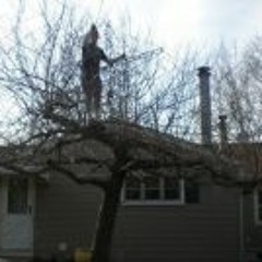 LindsWardenOfEastBoston