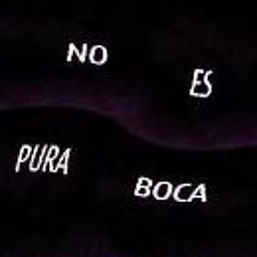 No Es Pura Boca’s avatar
