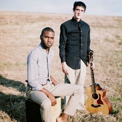 Hibiscus Promiscuous