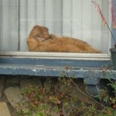 Kent Phillip Llanora