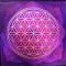 Dimensionenreiter