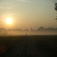 All I Want Is You - Barry Louis Polisar Cover